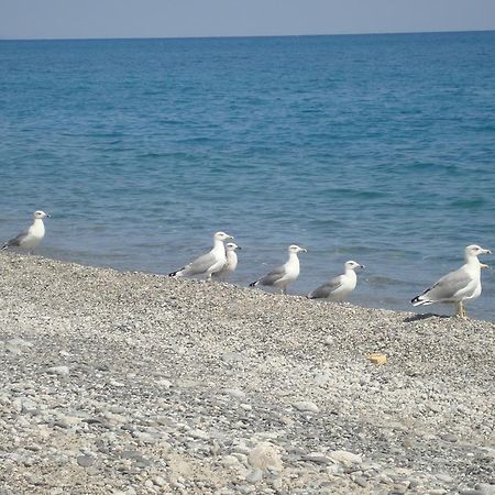 Holiday Home Borgorosso Guardavalle Екстер'єр фото